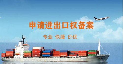 石排货物进口资质咨询东莞本地服务